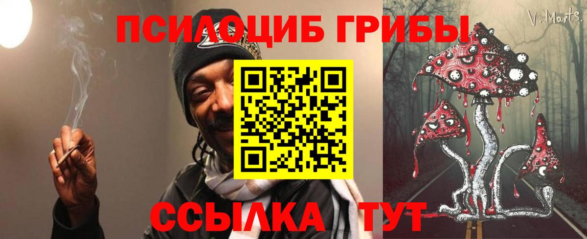 Галлюциногенные грибы мицелий Назарово